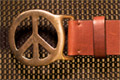 Click for larger view